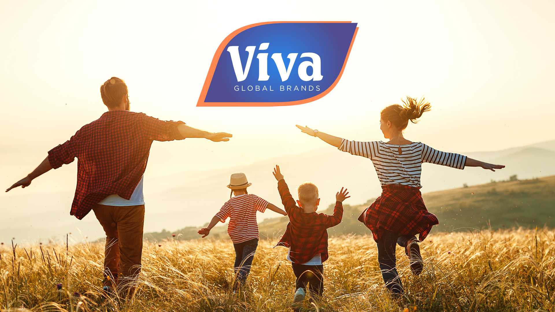 Viva Global Brands identity