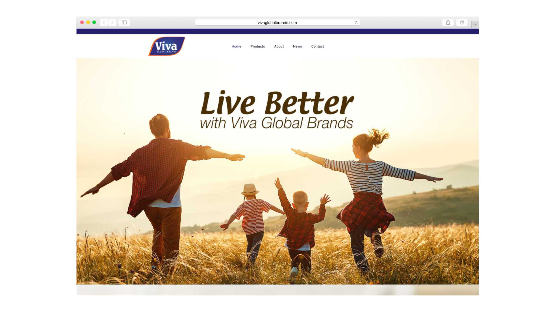 Viva Global Brands Website